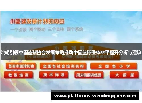 姚明引领中国篮球协会发展策略推动中国篮球整体水平提升分析与建议