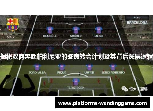 揭秘双向奔赴帕利尼亚的冬窗转会计划及其背后深层逻辑