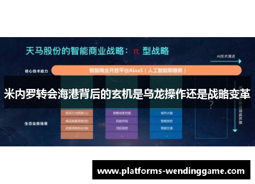 米内罗转会海港背后的玄机是乌龙操作还是战略变革