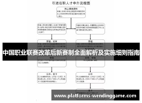 中国职业联赛改革后新赛制全面解析及实施细则指南