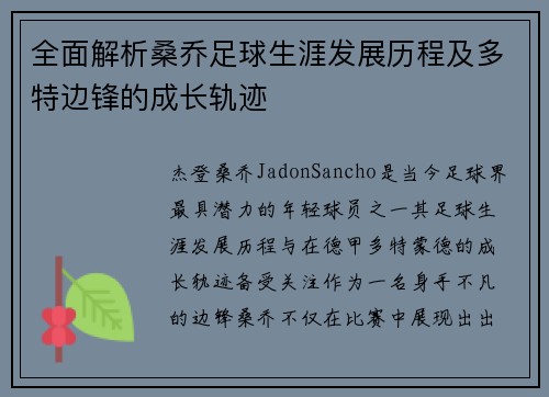 全面解析桑乔足球生涯发展历程及多特边锋的成长轨迹