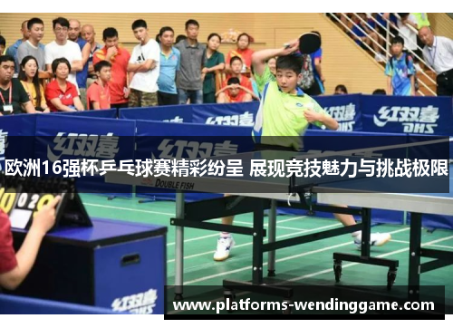 欧洲16强杯乒乓球赛精彩纷呈 展现竞技魅力与挑战极限