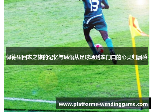 佩德里回家之旅的记忆与感悟从足球场到家门口的心灵归属感