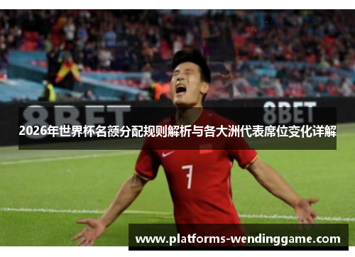 2026年世界杯名额分配规则解析与各大洲代表席位变化详解