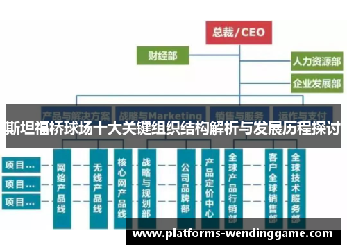 斯坦福桥球场十大关键组织结构解析与发展历程探讨