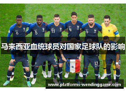 马来西亚血统球员对国家足球队的影响