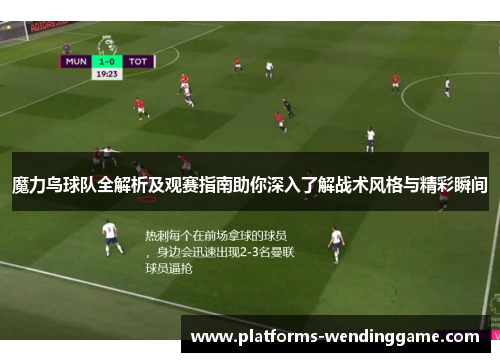 魔力鸟球队全解析及观赛指南助你深入了解战术风格与精彩瞬间