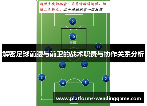解密足球前腰与前卫的战术职责与协作关系分析 解密足球前腰与前卫的战术职责与协作关系分析