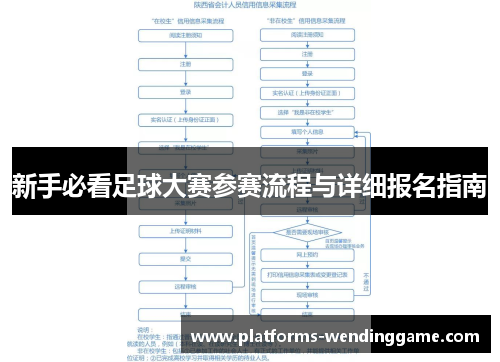 新手必看足球大赛参赛流程与详细报名指南