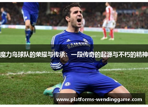 魔力鸟球队的荣耀与传承：一段传奇的起源与不朽的精神
