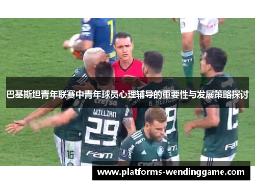 巴基斯坦青年联赛中青年球员心理辅导的重要性与发展策略探讨