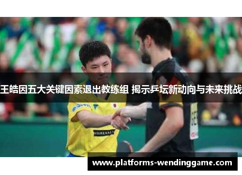 王皓因五大关键因素退出教练组 揭示乒坛新动向与未来挑战