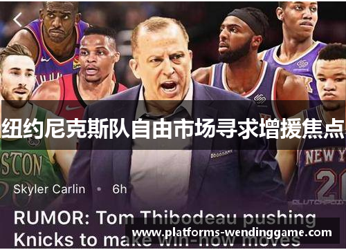 纽约尼克斯队自由市场寻求增援焦点